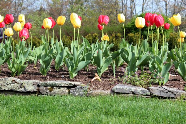Outdoor Stone Repair