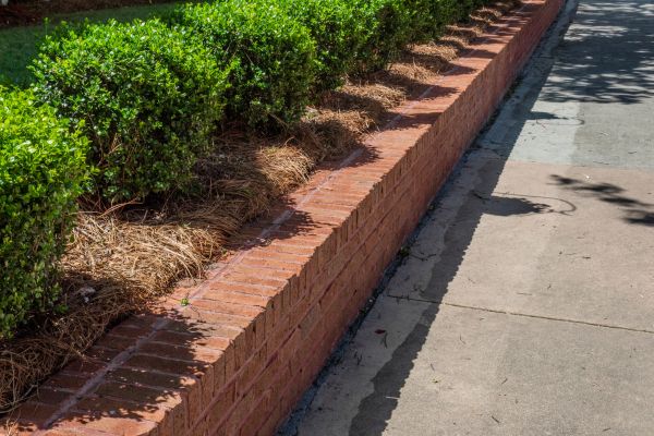 Border Blocks Installation